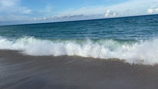 Florida: an Atlantic moment