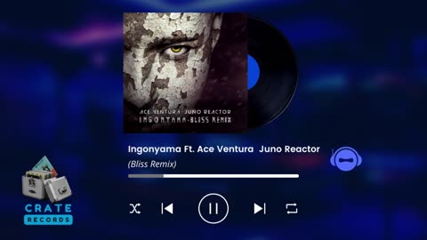 Ace Ventura Juno Reactor Ingonyama (Bliss Remix)