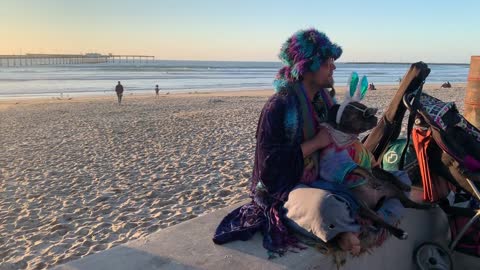 Dog Hippie Hippy Fun Funny Tie Die Beach Bubbles.
