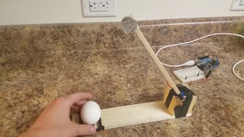 Homemade eggshell cracking machine fail