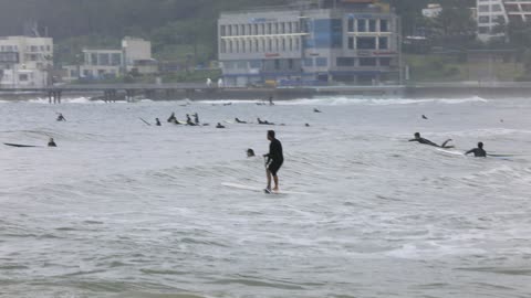 Sea and surfers