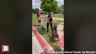 Family Is Reunited with Dog After over 300 Days in Animal Shelter