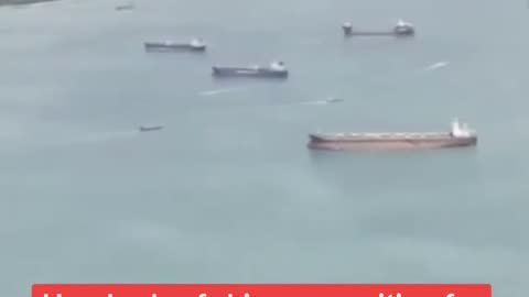 Hundreds Of Ships Butt Plugging The Red Sea