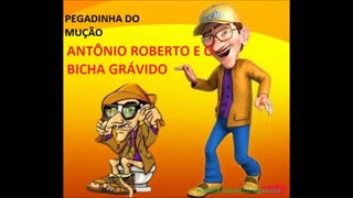 PEGADINHA DO MUÇÃO - ANTÔNIO E O BICHA GRÁVIDO