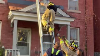 Cat Jumps Out of Firefighter's Arms While Being Rescued