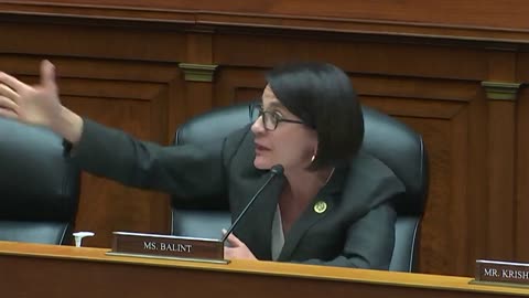 Dem Rep Accuses Witness Who Opposes Child Sex Changes Of Wanting To 'Beat Up On Children'