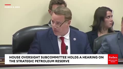 HOUSE OVERSIGHT SUBCOMMITTEE HOLDS A HEARING ON THE STRATEGIC PETROLEUM RESERVE
