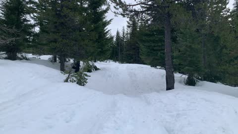 Hiking on Thick White Luscious Snow – Central Oregon – Potato Hill Sno-Park – 4K