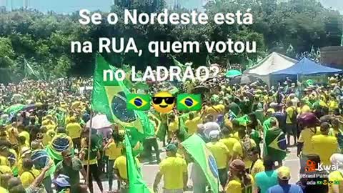 Eleições 2022 POS 2º Turno ! NORDESTE com Bolsonaro - Quem votou no LADRÃO ! (2022,11,3)