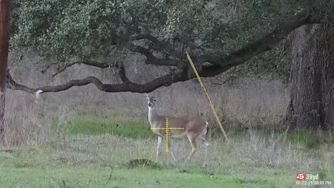 Best Crossbow Setup For Deer Hunting - ATN X-Sight 4K Pro & ABL Rangefinder