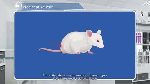 Nociceptive Pain-Neural System Disease Models