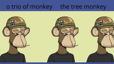 o trio dos macacos