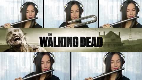 The Walking Dead Theme - Flute Cover