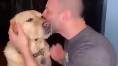 kiss your dog and see his reaction