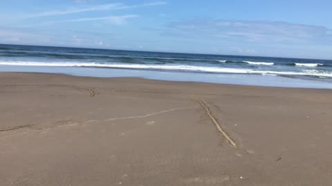 Acts 4:12 on a Oregon Beach!