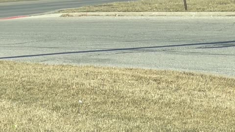 Cowboy Moseys Through McDonald's Drive-Thru on Horseback