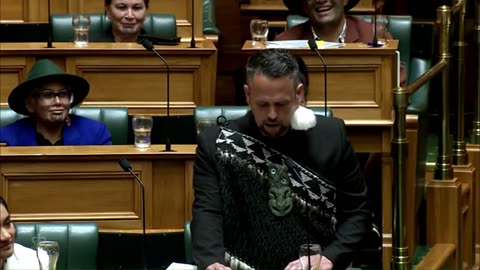 Te Pati Maori promoting racism and apartheid.