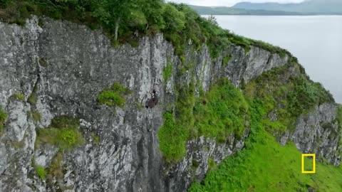 Russell Brand scales a cliffside | Running Wild with Bear Grylls