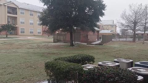 My 1st snow Bryan Texas 1/15/2024