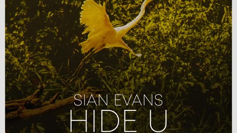 Sian Evans - Hide U (Tinlicker Extended Remix)