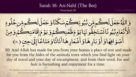 Quran: 16. Surat An-Nahl (The Bee): Arabic and English translation HD