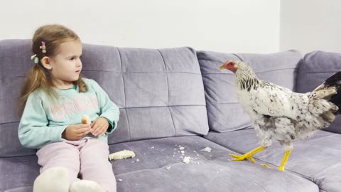 Adorable Little Girl Funny Feeds Chicken TRY NOT TO LAUGH.