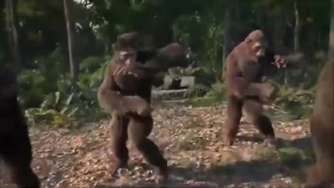 monkey dance meme
