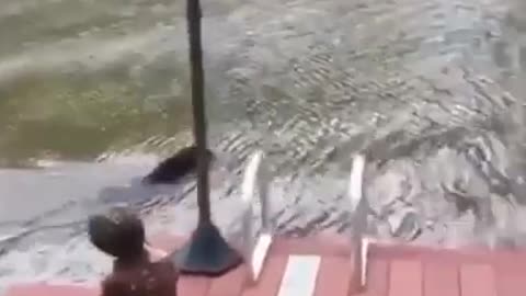 Dog saves a man from drowning 🐶❤️