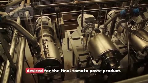 How HUGE Quantities of Tomatoes are Processed | Tomato Harvesting and Tomato Sauce Production