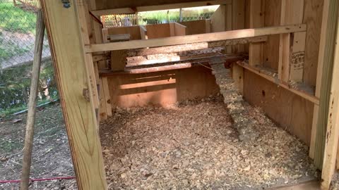 What is the best bedding for a chicken coop?