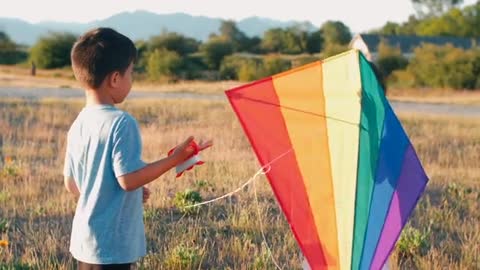 children playing with a kite outdoors