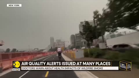 Canada wildfires lead to air-quality alerts in US | WION Climate Tracker