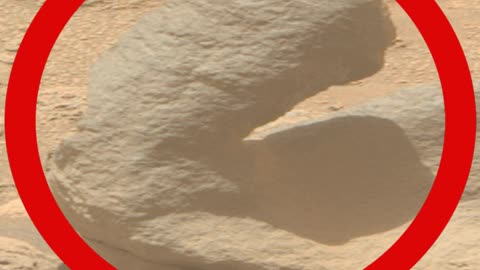 Mars Rock looks like a giant.....Thing....