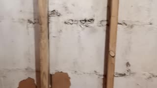 Basement Flood Repair Update 3