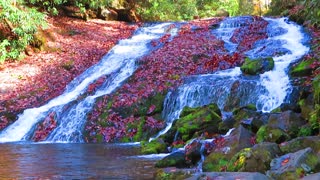 Indian Creek Falls; Western North Carolina