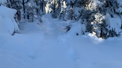 Pure White Snow Hiking – Central Oregon – Swampy Lakes Sno-Park