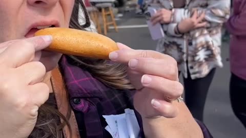 Evansville's Fall Festival Food Review!