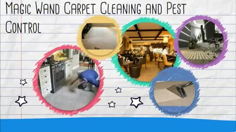 commercial pest control brisbane