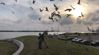 Feeding The Seagulls With Daddy