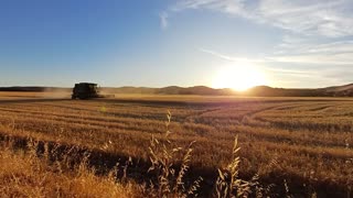 Harvest 2023 sunset