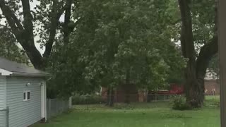 Tree on Fire During Downpour