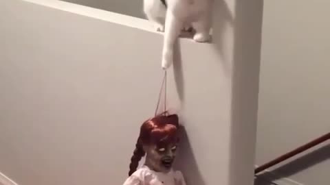 Cat's Hand is Stuck in A terrifying Doll