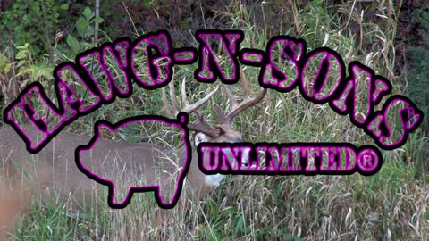 Greatest Whitetail Deer 🦌 Hunting Tactician Ever's Wildlife Habitat Masterpiece Yard 🦁 2021