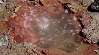 What mud bubbles tell us about volcanos
