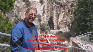 Jerry Marzinsky Mental Health Counselor - The Schizophrenic Voices are Entities Part 1