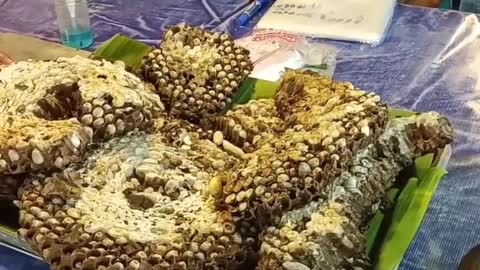 EATING WASPS? Weird foods of Northern Thailand