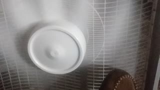 My foot in the fan