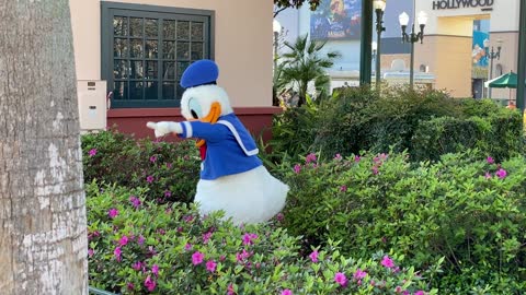 Donald, just being the gardener.
