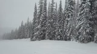 DD and ELD Downhill skiing Silverstar Ski Resort on a not so busy day!