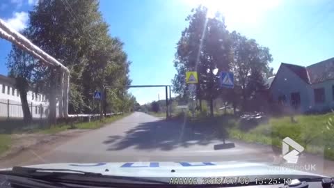 Sidecar motorcycle crash